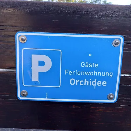 Orchidee Bad Muenstereifel