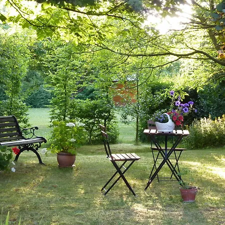 Apartment Orchidee Bad Muenstereifel