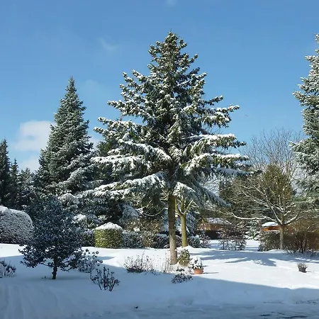 Orchidee Apartment *