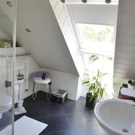 Orchidee * Bad Münstereifel