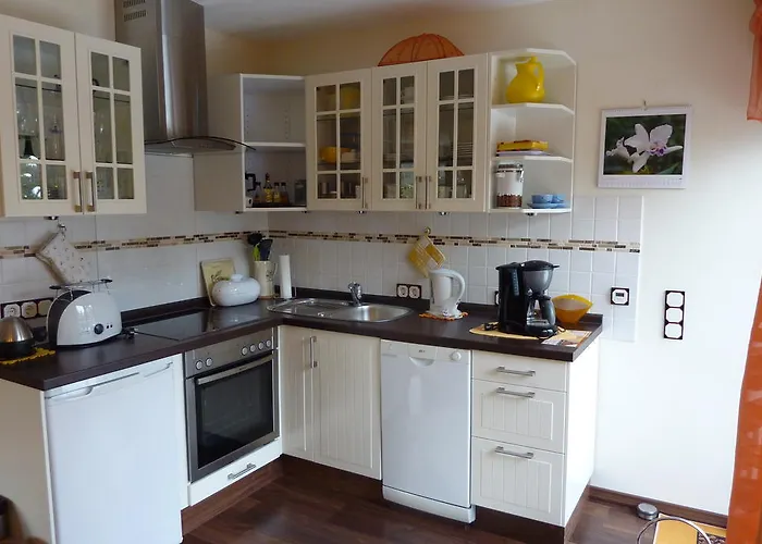 Orchidee * 巴特明斯特艾弗尔