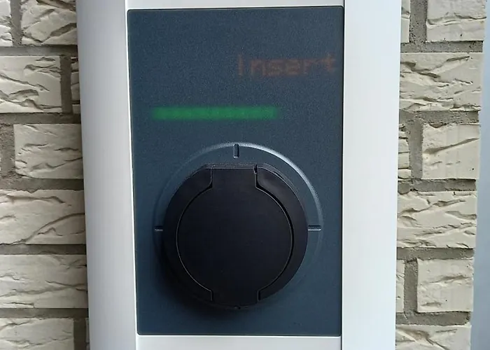 Orchidee Bad Muenstereifel