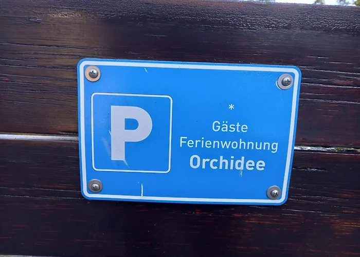 Orchidee Bad Muenstereifel