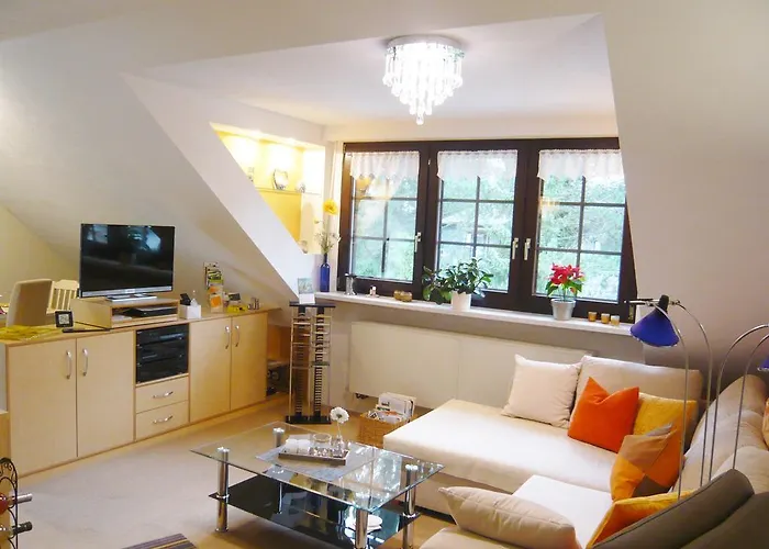 Orchidee * Bad Muenstereifel