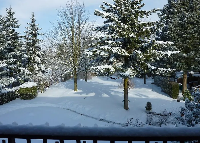 Orchidee Bad Muenstereifel