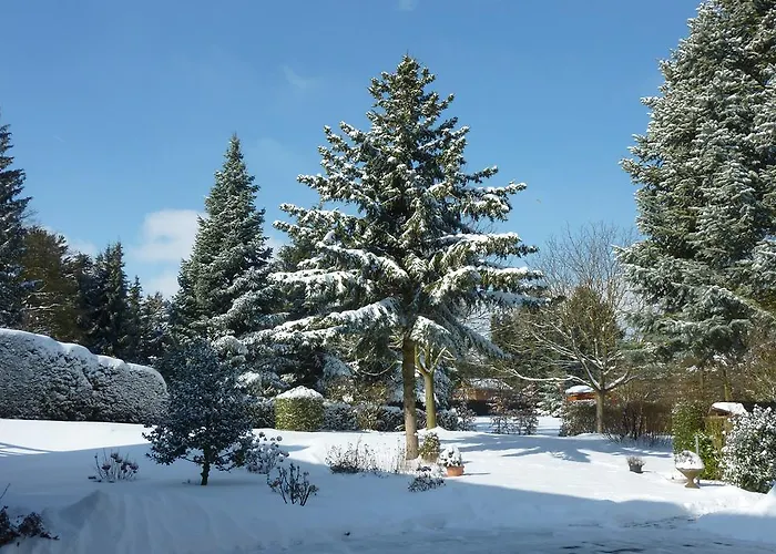 Orchidee Apartament *