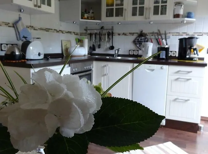 Orchidee * Bad Muenstereifel