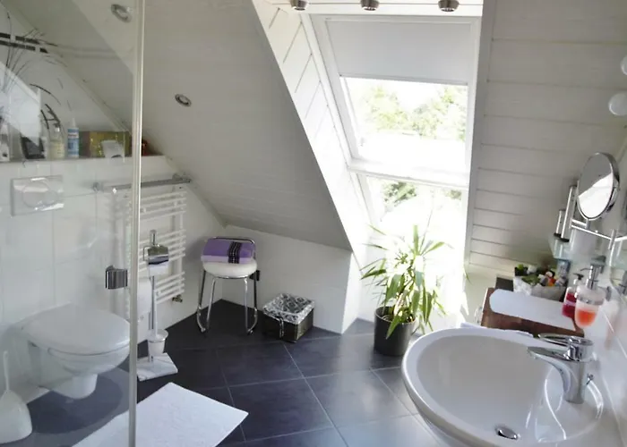 Orchidee * Bad Muenstereifel